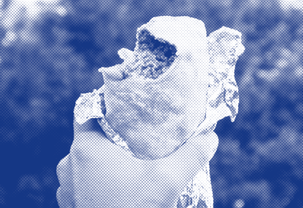 What Is the ‘Giant Looming Credit Event’ and What Does It Mean for My Klarna&nbsp;Burrito?